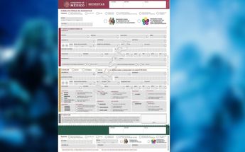Así es el formato del FUB que deben llenar los interesados en los apoyos del Bienestar/ Especial