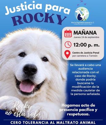 Ciudadanos convocan a manifestación frente al Centro de Justicia Penal para exigir justicia. | Dignidad Animal Oficial Facebook