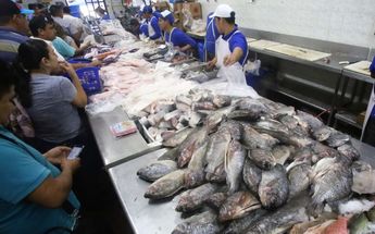 Los alimentos relacionados con la Cuaresma, como el pescado han registrado un incremento importante el 2025 en Nuevo León. | Archivo