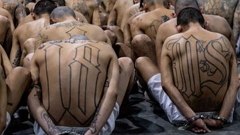 La Mara Salvatrucha surgió a mediados de los 80, integrada por inmigrantes refugiados de guerras civiles en Centroamérica | Reuters