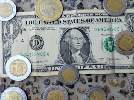 En los últimos días, el dólar no ha superado las 18 unidades | Freepik