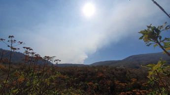 Registran incendio en el bosque de La Primavera | Especial