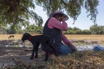 Doña Margarita Rojano | Andrés Lobato