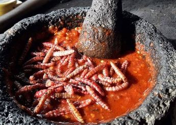 Chinicuiles.