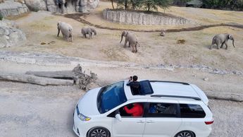 La entrada a Africam Safari es por persona e y es para el recorrido por todo el parque de conservación | Es Imagen