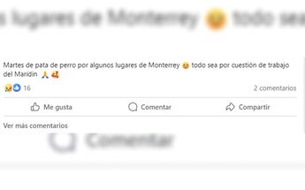 Laura Zúñiga Espinoza: últimas publicaciones