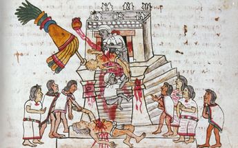 Sacrificio humano por extracción del corazón. Códice Magliabechiano /Especial