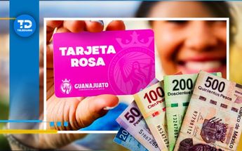 El periodo de pre-registro para la Tarjeta Rosa en Guanajuato estará disponible hasta el 31 de diciembre de 2024. | ESPECIAL