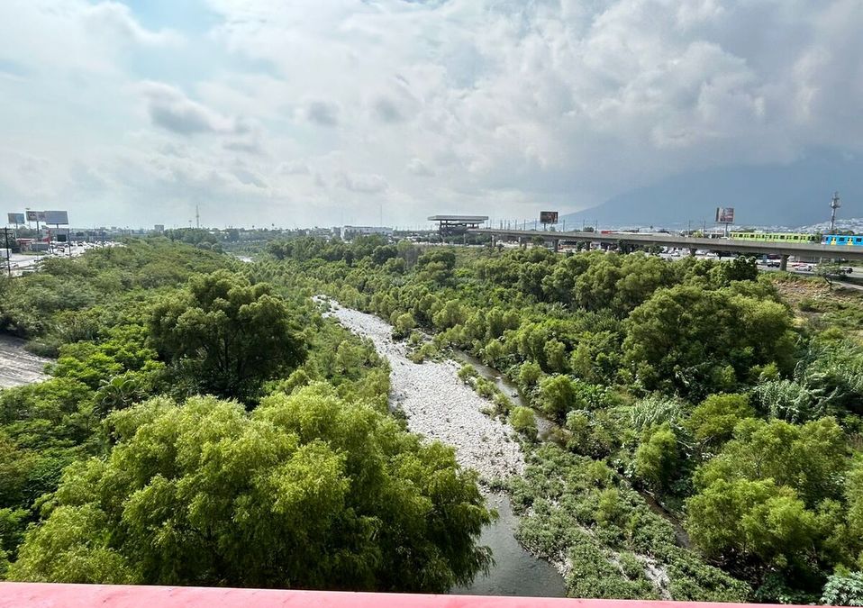 Zona del Río Santa Catarina donde aún predomina la vegetación. | Pedro Delgado