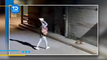 "Huesitos", el perro herido, se encuentra inmóvil tras la agresión recibida el miércoles 12 de febrero / Especial