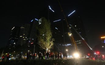 El día domingo se realizará un festival para dar la bienvenida al ahuehuete. / Jorge Carballo.