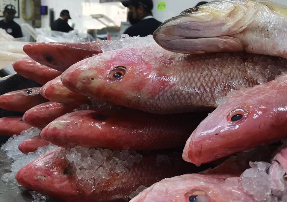 Aumenta venta de mariscos por cuaresma