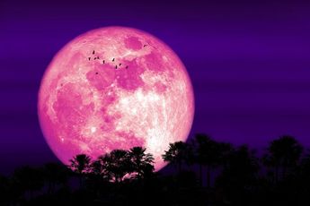 La Luna Rosa toma su nombre de los nativos americanos.