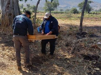 Crisis en la Comisión Nacional de Búsqueda: Despiden a 104 trabajadores. | Especial