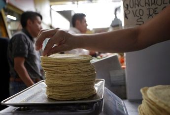 Entre enero de 2021 y junio de 2022, el precio del kilo de tortillas se ha disparado 26.45%./ Milenio
