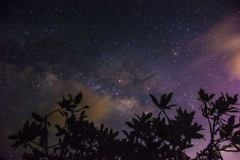 Las noches estrelladas y algunos astros son lo más buscado por los asistentes a este evento nacional / Agencia Cuartoscuro
