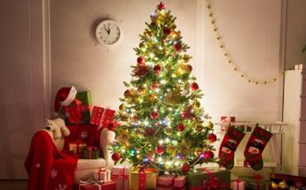 Si comprarás árbol natural para Navidad sigue estas recomendaciones