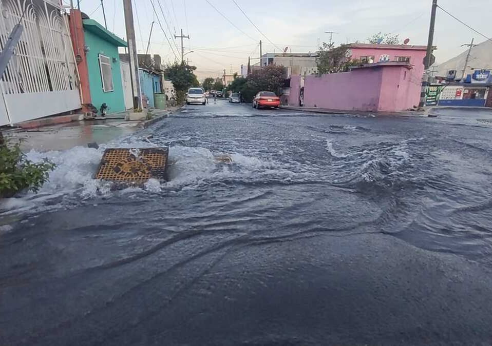 | Fabricio Gallegos
