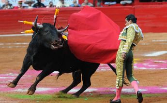 Corridas de toros en Plaza México / Cuartoscuro
