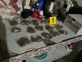 Droga encontrada durante los cateos. | Cortesía