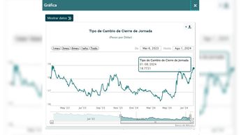 El peso se había mostrado fuerte frente al dólar, pero hoy no dejó de caer / Captura.