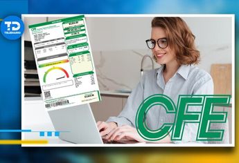 Los datos de facturación de la CFE puedes encontrarlos en el recibo de luz.
