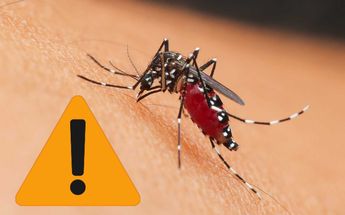 Alerta por dengue en Guanajuato | Especial