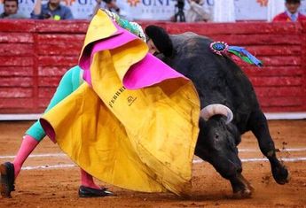 Plaza de Toros México. (@TauroPlaza México)