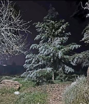 Cae nieve en el estado de Guanajuato | Redes sociales.