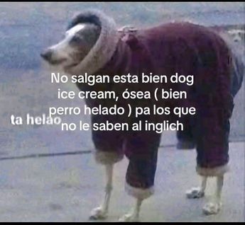 Meme por frío en Monterrey. | Especial