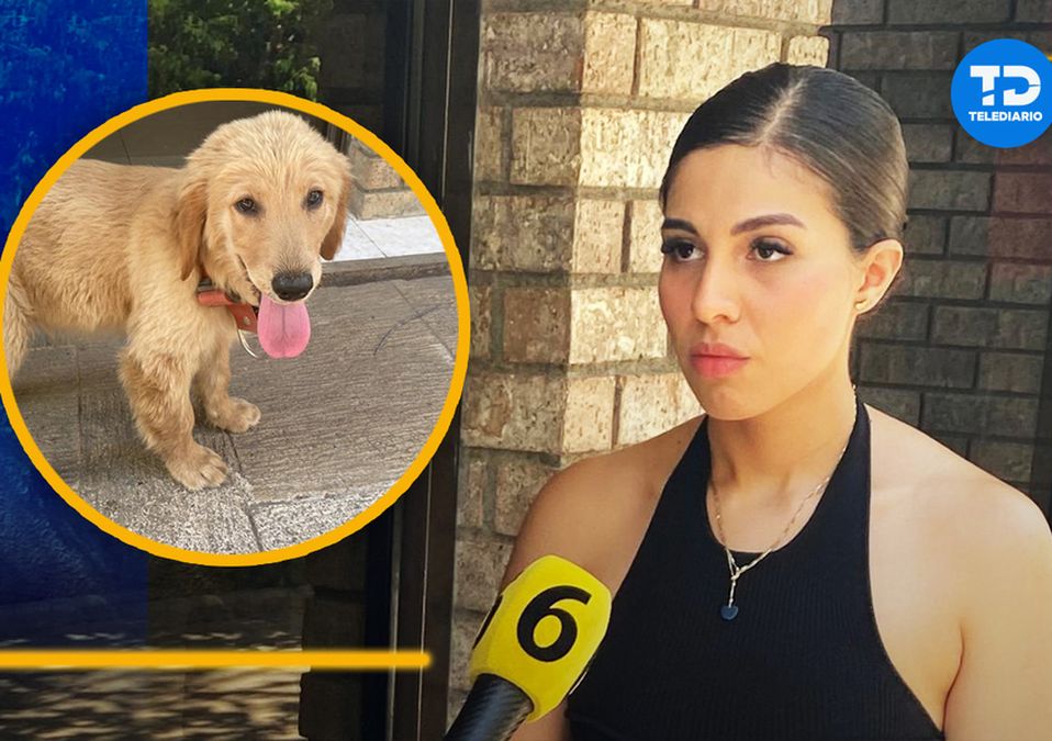 Regia narra cómo recibió a sus perros muertos / Especial-Erik Solheim
