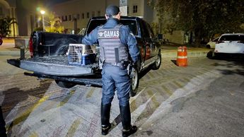 Policía de Guadalajara con el mono asegurado / Especial