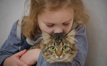 Niña es rescatada de caer del techo de su vivienda en Edomex; intentaba salvar a su gatito
