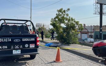 Muerto por cable en Guadalajara / Juan Carlos Munguía