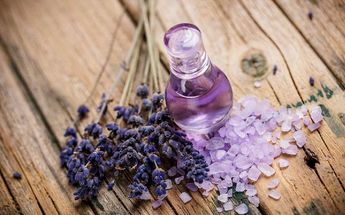 Lavanda para aliviar dolor de cabeza/ Especial