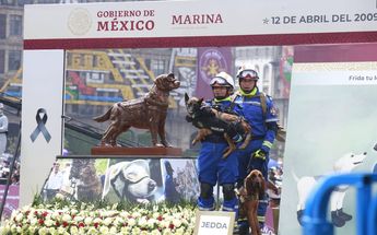 Homenaje a Frida, perrita rescatista | Juan Carlos Bautista