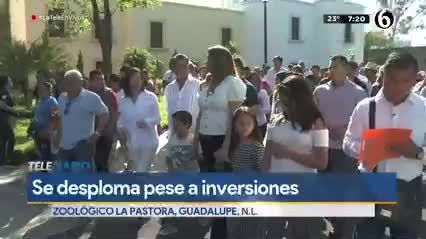 Se desploman ingresos de La Pastora pese a inversiones 