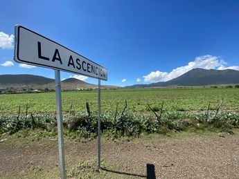 Ejido La Ascención en Aramberri. | Roberto Alanís