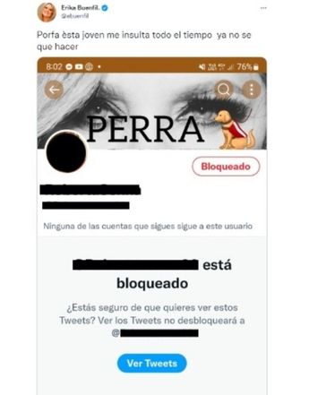 Erika Buenfil denuncia ciberacoso