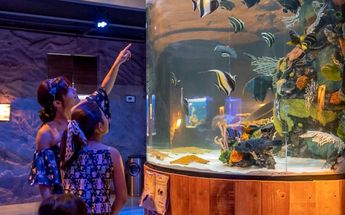 Acuario en Monterrey 2024 | Especial
