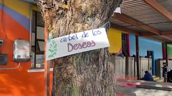 Árbol de los deseos.