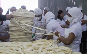 Fabricación del queso más grande del mundo