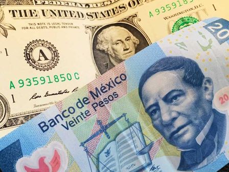 El dólar cerró la primera semana de febrero con apreciación | Freepik