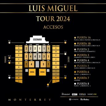 Estos son los accesos al concierto. | Especial
