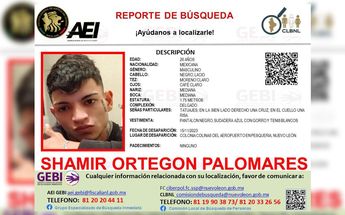Shamir Ortegón Palomares
