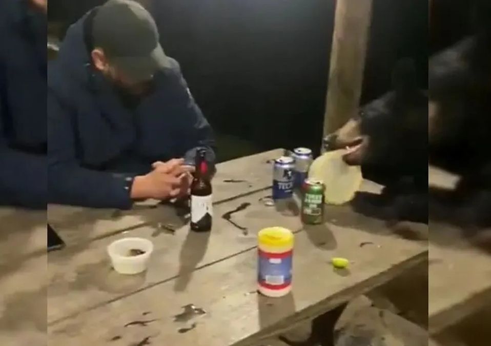 Oso sorprende a padre e hijo afuera de una cabaña y le invitan una “cheve” en Nuevo León