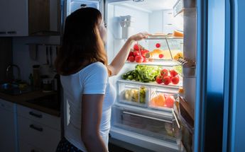 Cambia tu refrigerador con ayuda de la CFE / Shutterstock