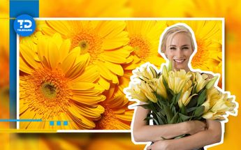 Las flores amarillas se regalan el 21 de septiembre | pxhere | Freepik