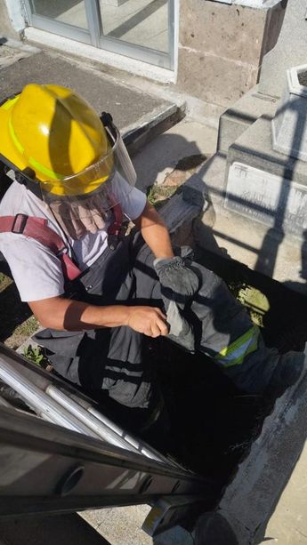 Rescate de perrito chihuahua en panteón