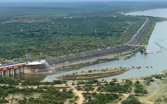 Presa Cerro Prieto | Especial